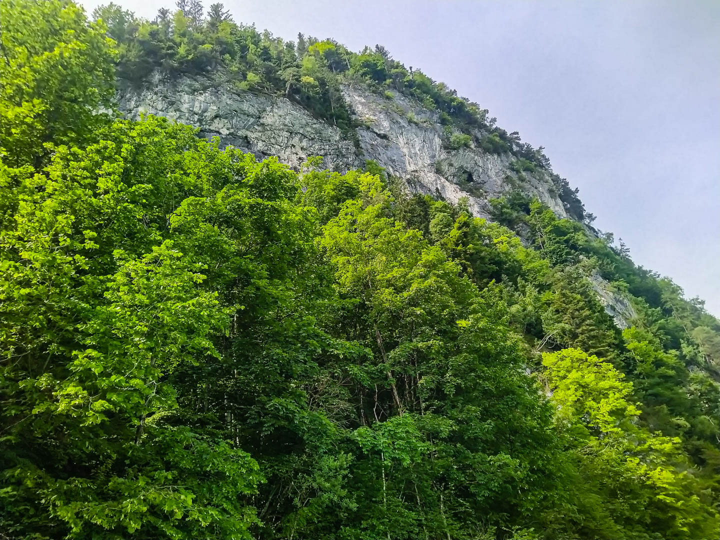 Kajaktour Kochselsee 19.06.2021